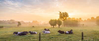 Woonboerderij te koop: jeeij of nee?